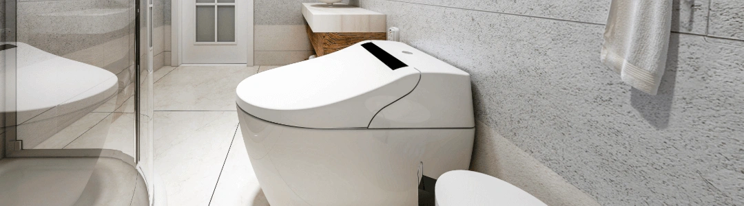 Capace WC inteligente