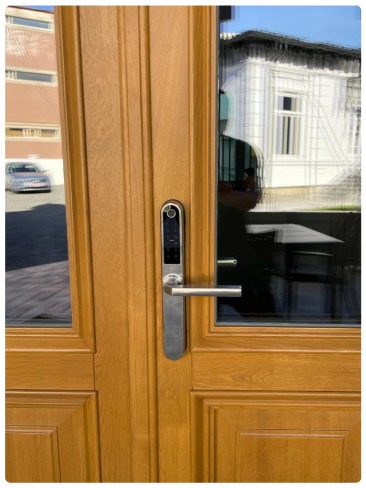 Galerie imagini