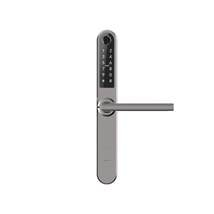 Incuietoare smart pentru usi termopan PVC, deschidere cu amprenta, cod, card, telefon, Wi-Fi, Bluetooth, gri [2]