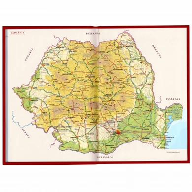 Agenda nedatata DOMINO Argintiu [6]