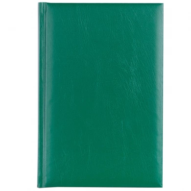 Agenda nedatata DOMINO  Verde [1]