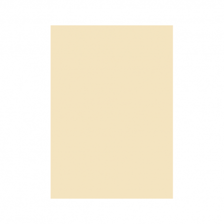 Carton Color 160G/Mp  A4  Crem [1]