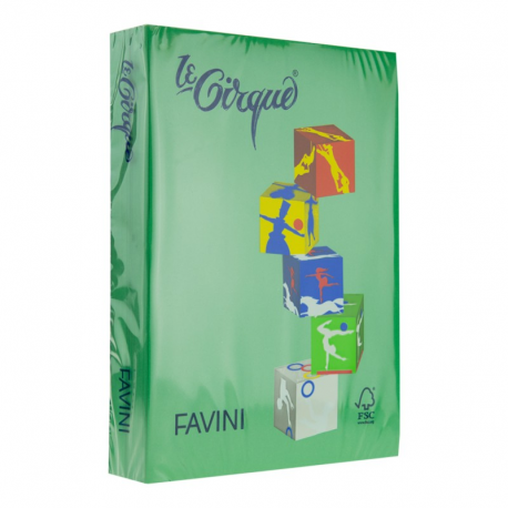Hartie Colorata 80G/Mp A4 207 Verde Padure Favini [1]
