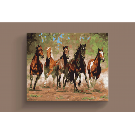 Panza Pictura Pe Numere 30X40Cm Daco Pzn3040-1 [4]