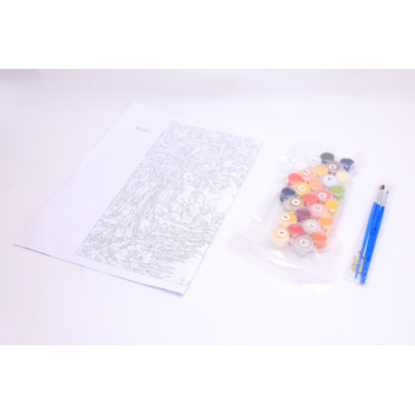 Panza Pictura Pe Numere 30X40Cm Daco Pzn3040-3 [2]
