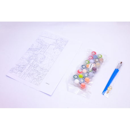 Panza Pictura Pe Numere 30X40Cm Daco Pzn3040-4 [2]