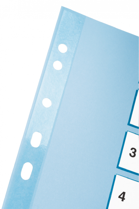 Separatoare Index Carton 1-10 Mylar Esselte [2]