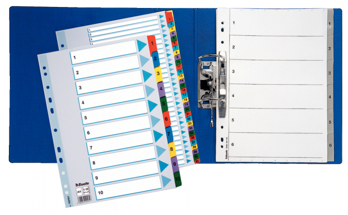 Separatoare Index Carton 1-12 Mylar Esselte [2]