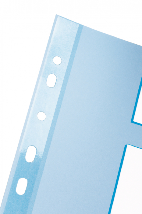 Separatoare Index Carton 5 Coli Standard Esselte [2]