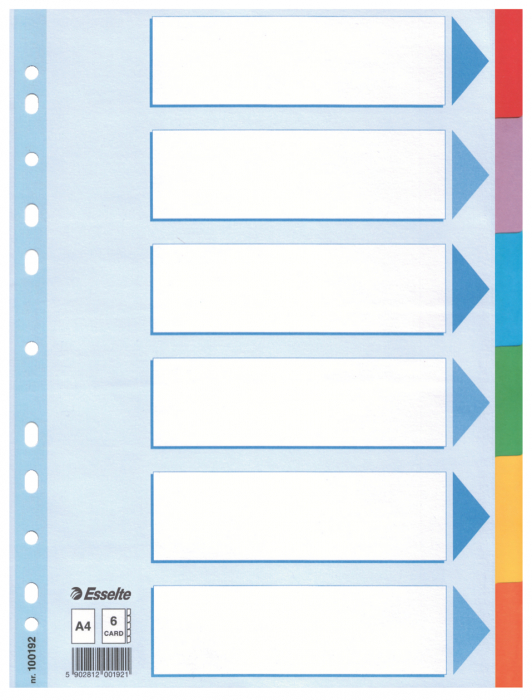 Separatoare Index Carton 6 Coli Standard Esselte [1]