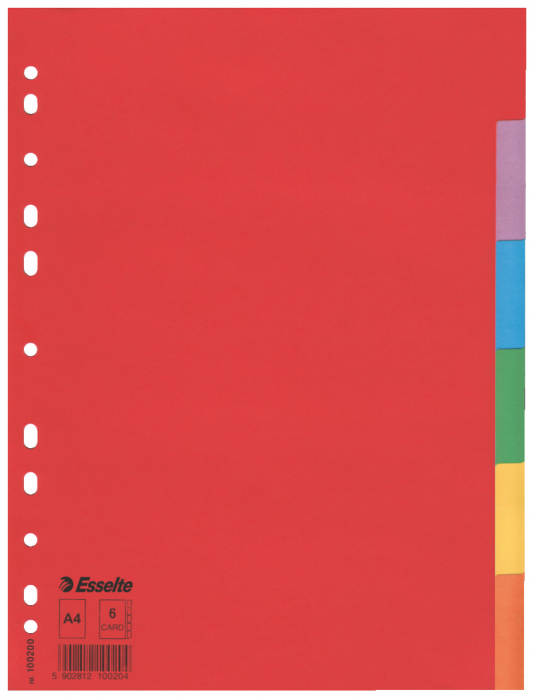 Separatoare Index Carton 6 Culori Economy Esselte [1]