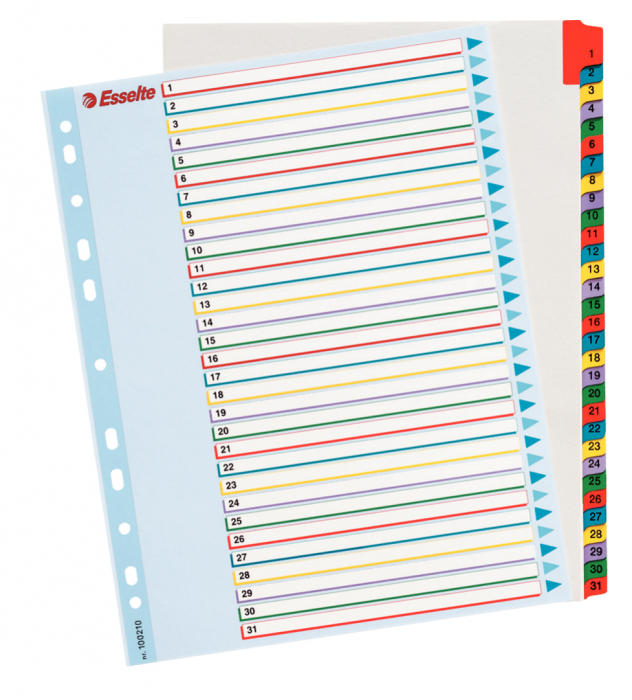 Separatoare Index Plastic 1-31 Reinscriptibil Esselte [1]