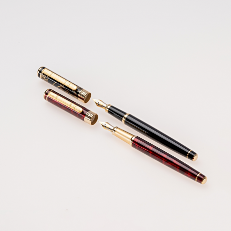 Set Stilou+Calimara+Etui Picasso 9902N [1]