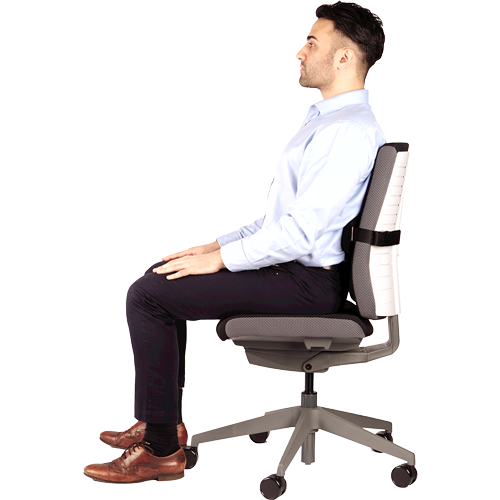 Suport Ergonomic Pentru Spate I-Spire Negru Fellowes [5]
