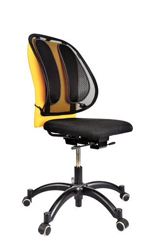 Suport Ergonomic Pentru Spate Mesh Fellowes [2]