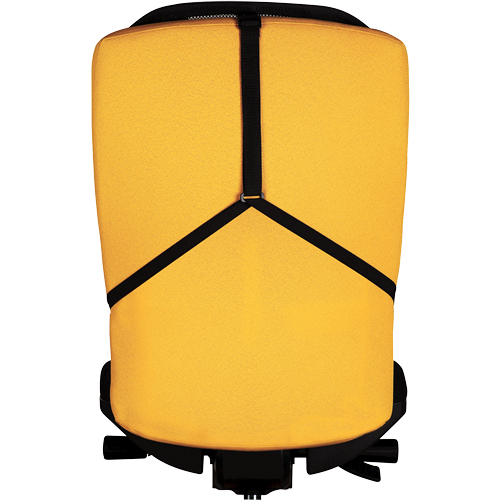 Suport Ergonomic Pentru Spate Mesh Fellowes [3]