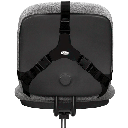 Suport Ergonomic Pentru Spate Pro Series Ultimate Fellowes [2]