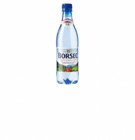 Produse protocol - Apa minerala carbogazoasa 0.5l Borsec