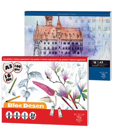 Caiete & Bloc Desen - Bloc Desen A3 160G 16 Coli Pigna