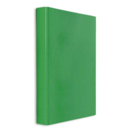 Caiete mecanice - Caiet Mecanic Plastifiat 2 Inele A4 Daco V