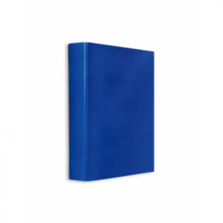 Caiete mecanice - Caiet Mecanic Plastifiat 2 Inele A5 Daco A