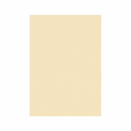 Carton copiator - Carton Color 160G/Mp  A4  Crem