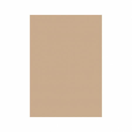 Carton copiator - Carton Color 160G/Mp  A4  Maro Hazelnut