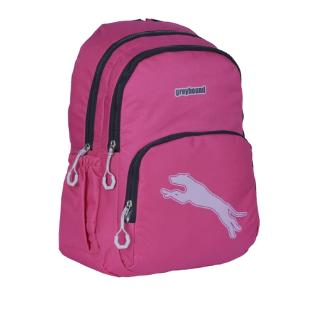 Ghiozdane si genti scolare - Ghiozdan GREYHOUND cu 2 compartimente si buzunar exterior ROZ 44x33x23 cm