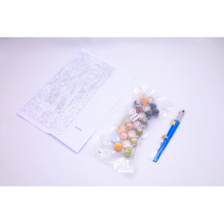 Panza Pictura Pe Numere 30X40Cm Daco Pzn3040-1 [2]