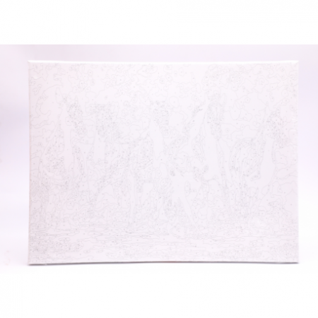 Panza Pictura Pe Numere 30X40Cm Daco Pzn3040-1 [1]