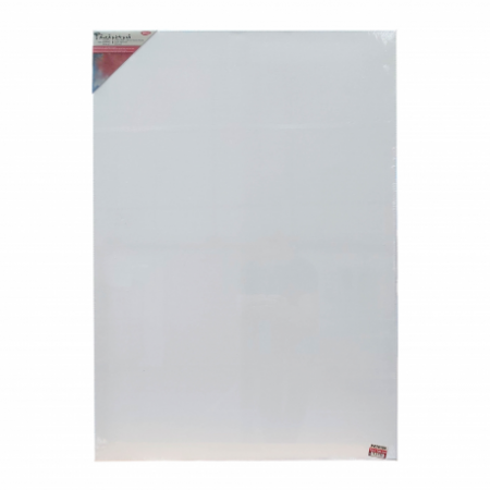 Panza pictura - Panza Pictura Pe Sasiu 70*100 Cm Daco Pz70100