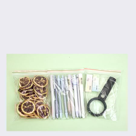 Pungi Cu Inchidere Zip 160*120Mm 100/Set [3]