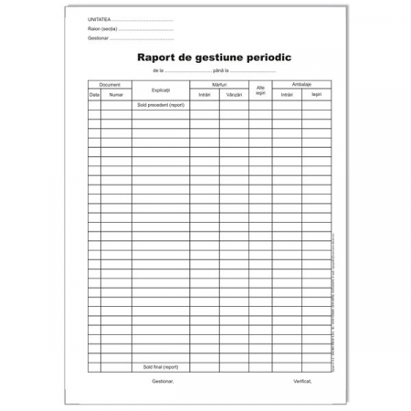 Tipizate - Raport De Gestiune Periodic
