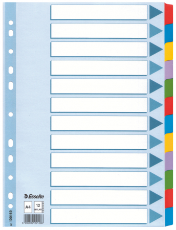 Indecsi si separatoare - Separatoare Index Carton 12 Coli Mylar Esselte