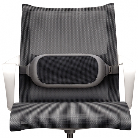 Suport Ergonomic Pentru Spate I-Spire Fellowes [3]