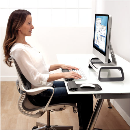 Suport Incheietura I-Spire Gri Rocker Fellowes [3]