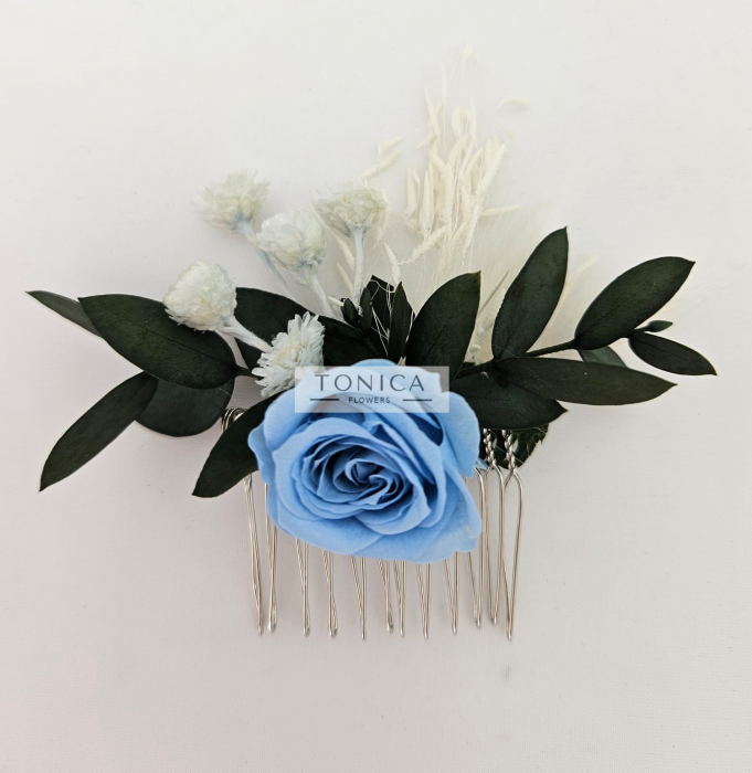 Accesorii par [1]