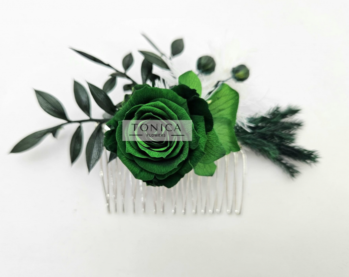 Accesorii par [1]
