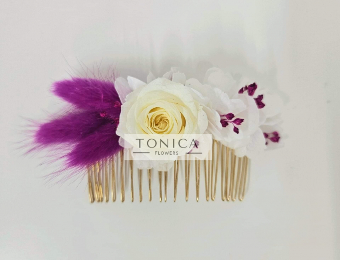 Accesorii par [1]