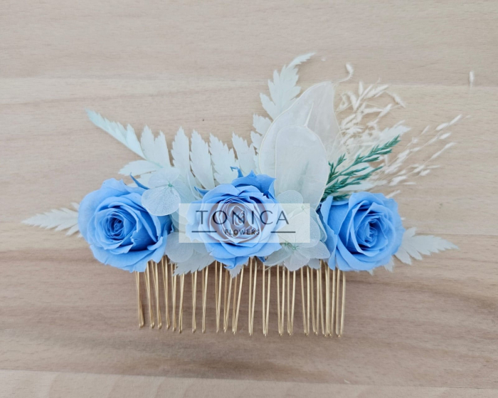 Accesorii par [1]