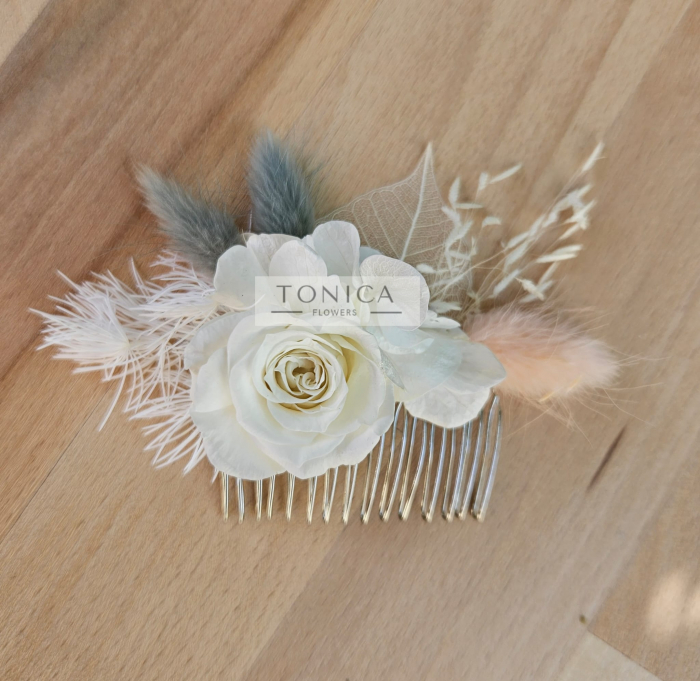 Accesorii par [1]