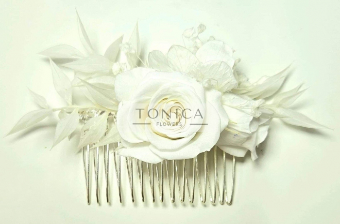 Accesorii par [1]