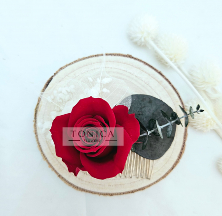 Accesorii par [1]