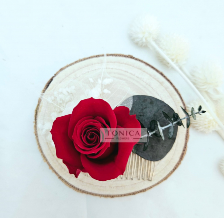 Accesorii păr - Accesorii par