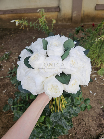 Buchet mix bujori criogenati [1]