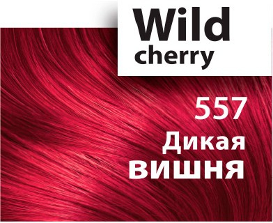 Balsam Toner VEGAN  pentru păr - „JEE COSMETICS” , 100 ML [2]