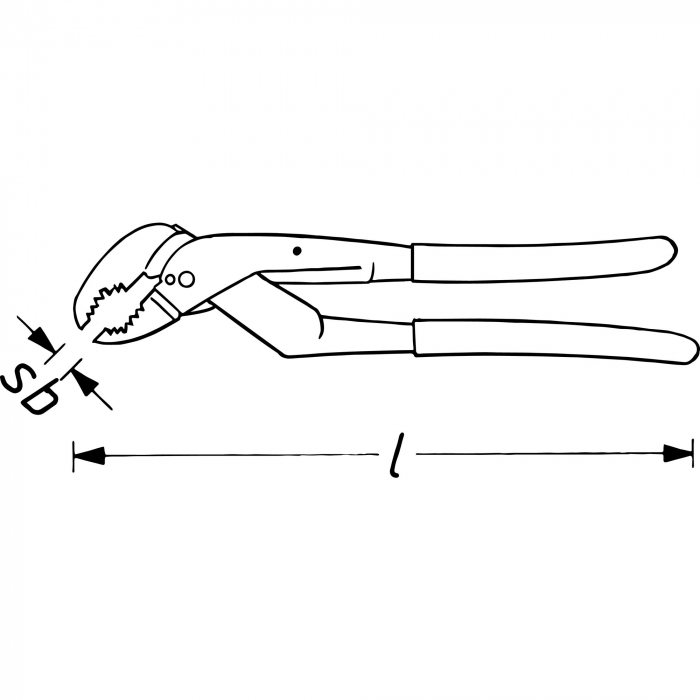 Cleste papagal, 260 mm [2]