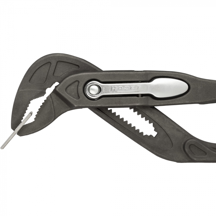Cleste papagal, 260 mm [8]