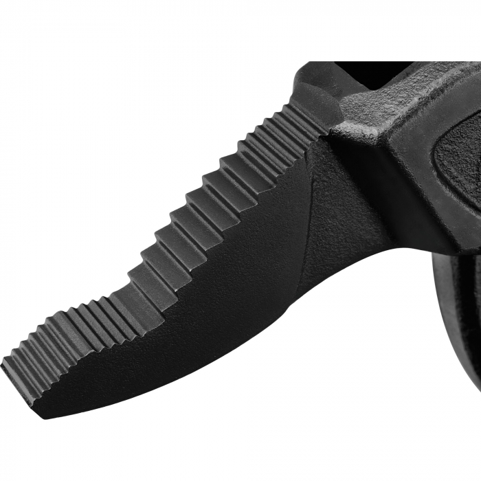 Cleste papagal, 260 mm [6]