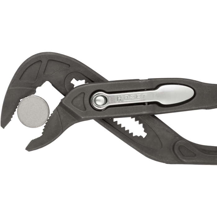 Cleste papagal, 260 mm [10]